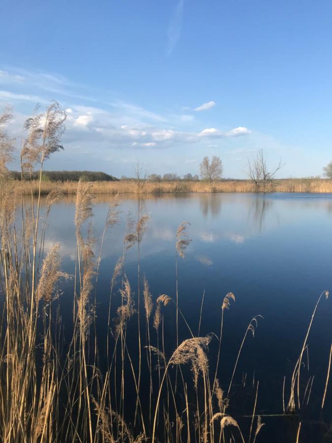 Ferienwohnungen Marita زالتسويدِل المظهر الخارجي الصورة